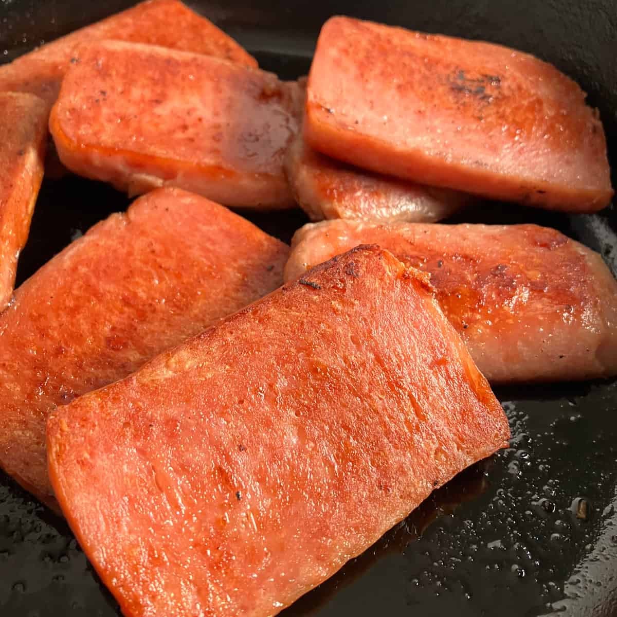 SPAM